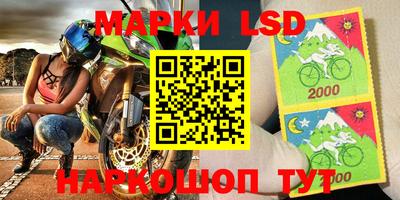 apvp Новодвинск