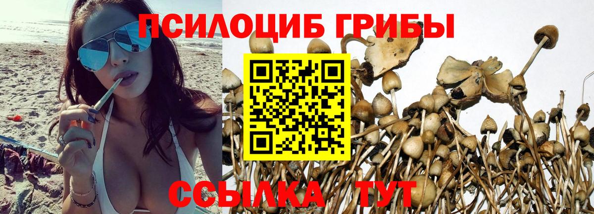 Галлюциногенные грибы мухоморы Троицк