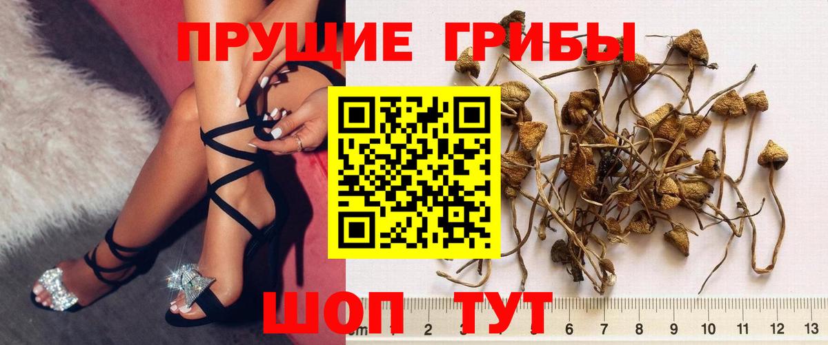 Троицк  Галлюциногенные грибы Magic Shrooms  Вход с VPN 